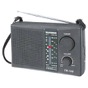 Portable Radio